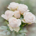 Signature Rose Box